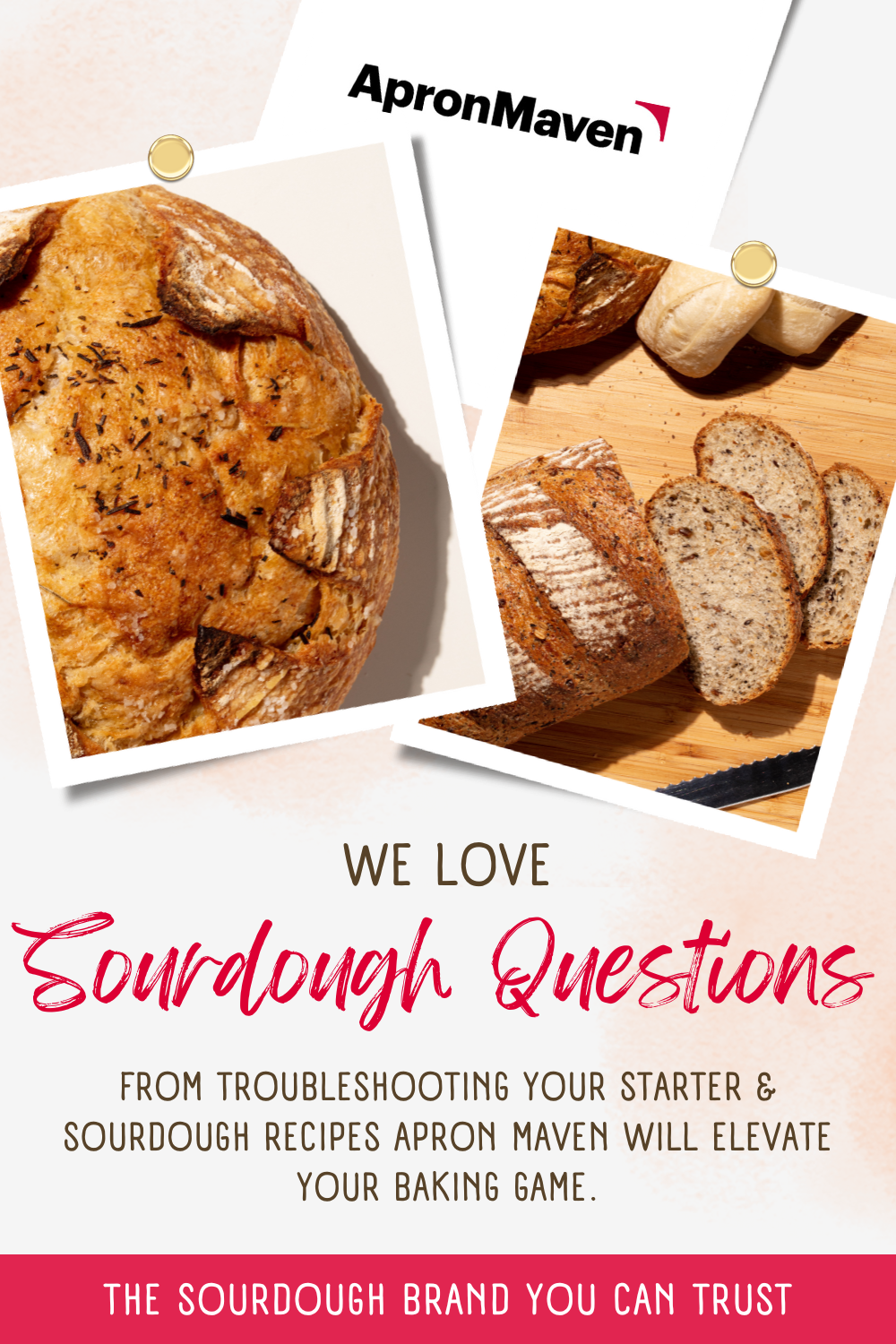 Premium Dehydrated Sourdough Starter Culture - French Style - 10 Grams