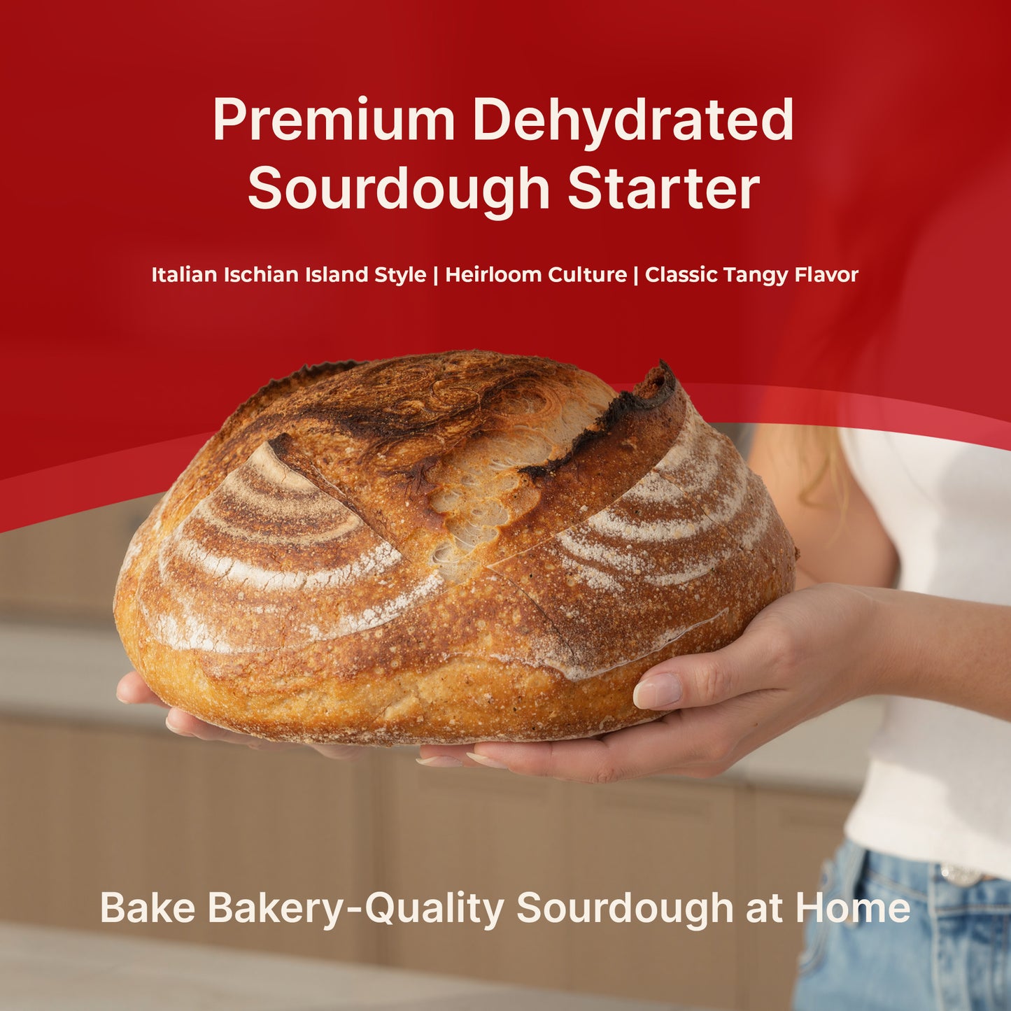 Premium Dehydrated Sourdough Starter Culture - Italian Ischian Island Style  Style - 10 Grams