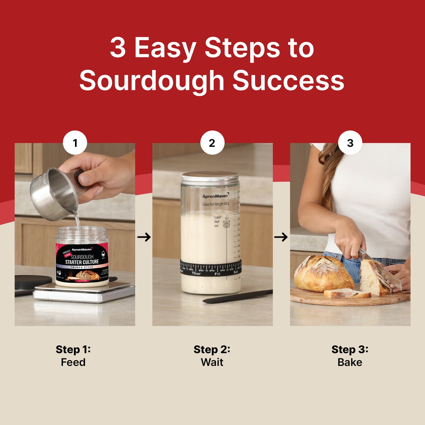 Live French Style Sourdough Starter