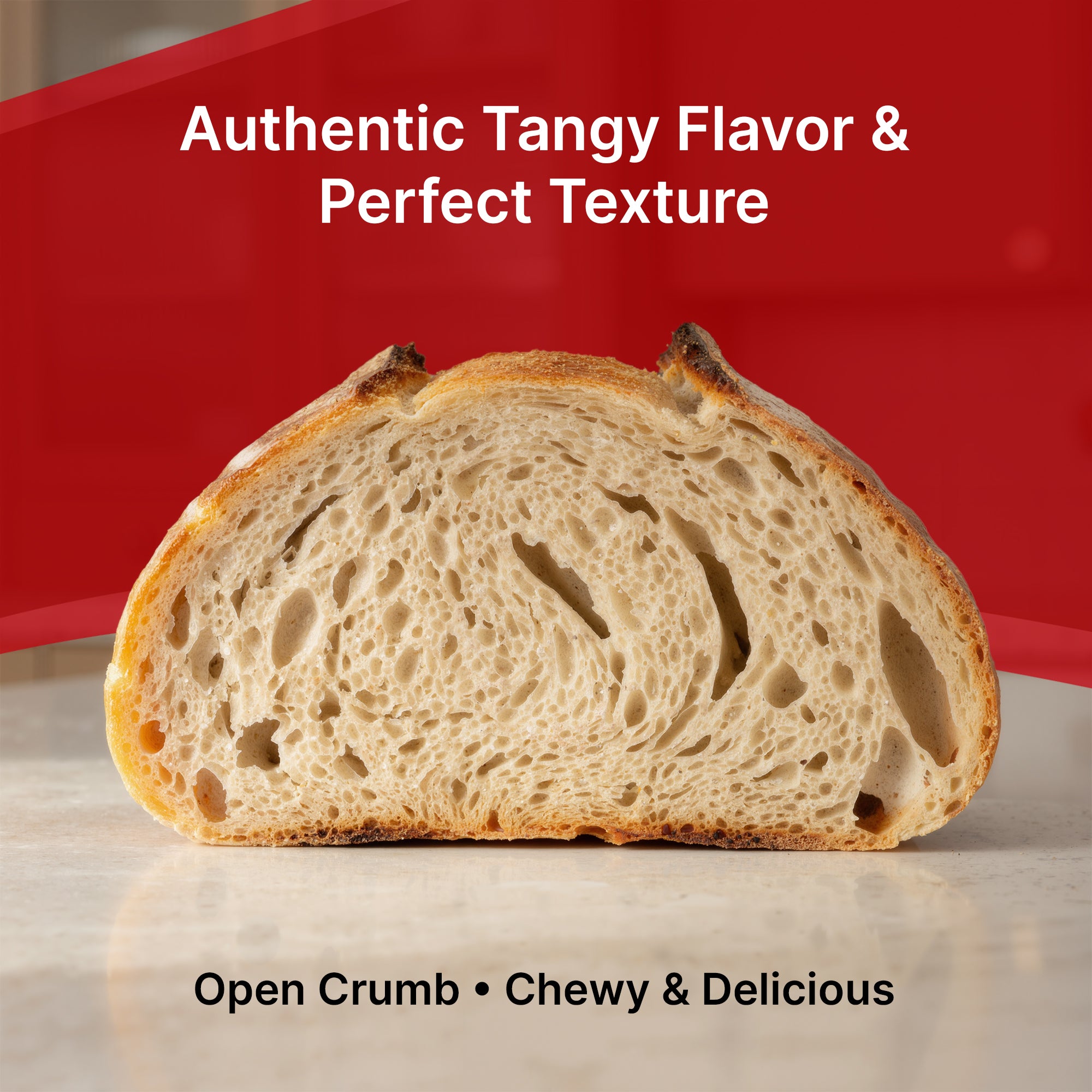 Live French Style Sourdough Starter