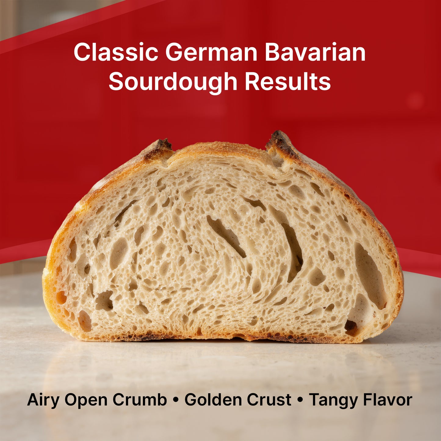 Premium Dehydrated Sourdough Starter Culture - German Bavarian Style - 10 Grams