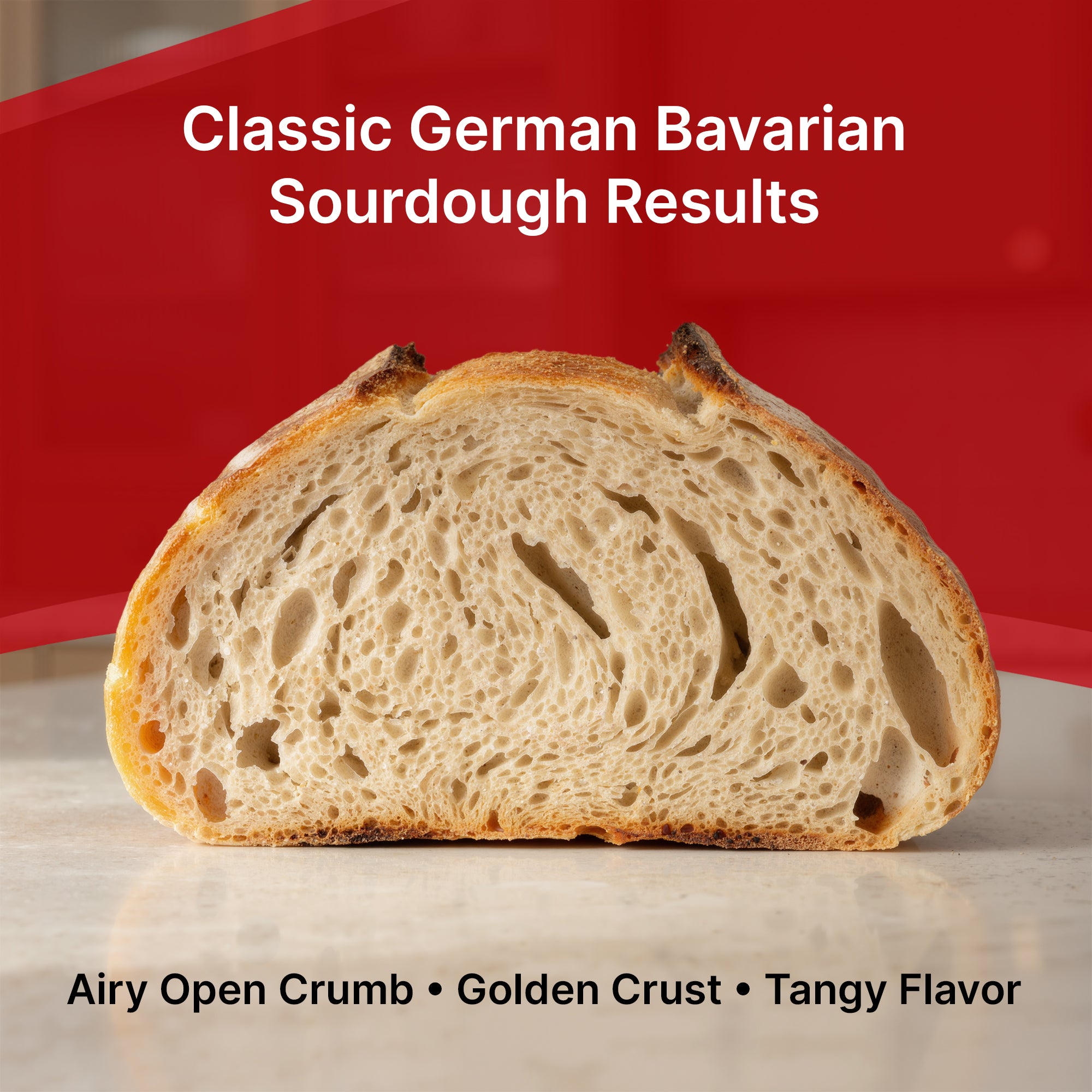 Premium Dehydrated Sourdough Starter Culture - German Bavarian Style - 10 Grams