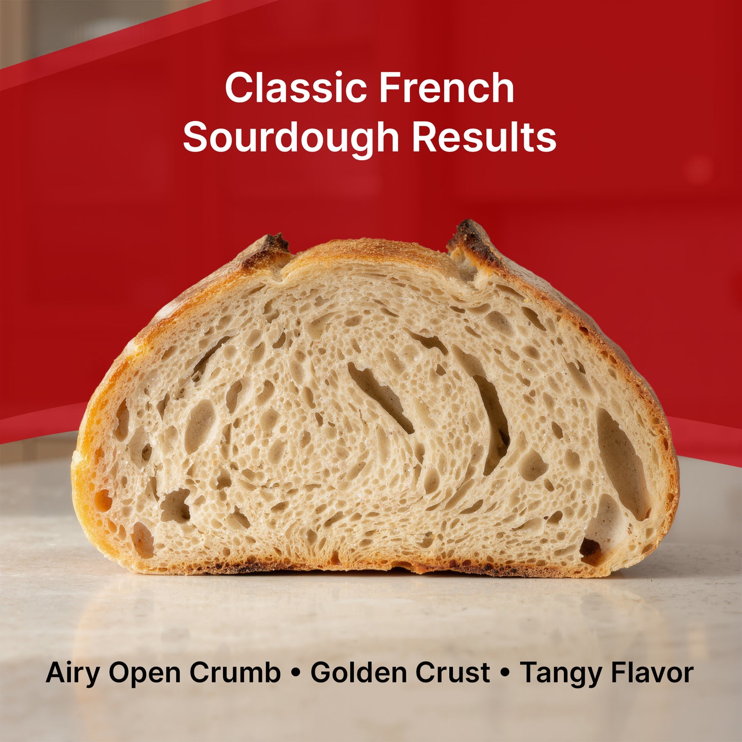 Premium Dehydrated Sourdough Starter Culture - French Style - 10 Grams