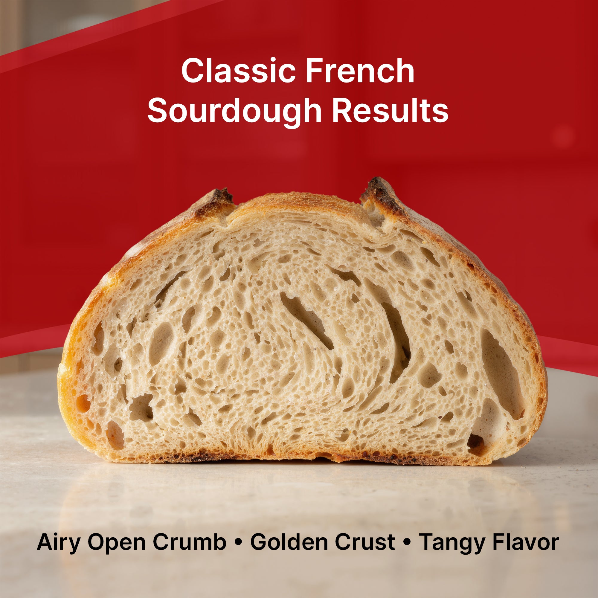 Premium Dehydrated Sourdough Starter Culture - French Style - 10 Grams