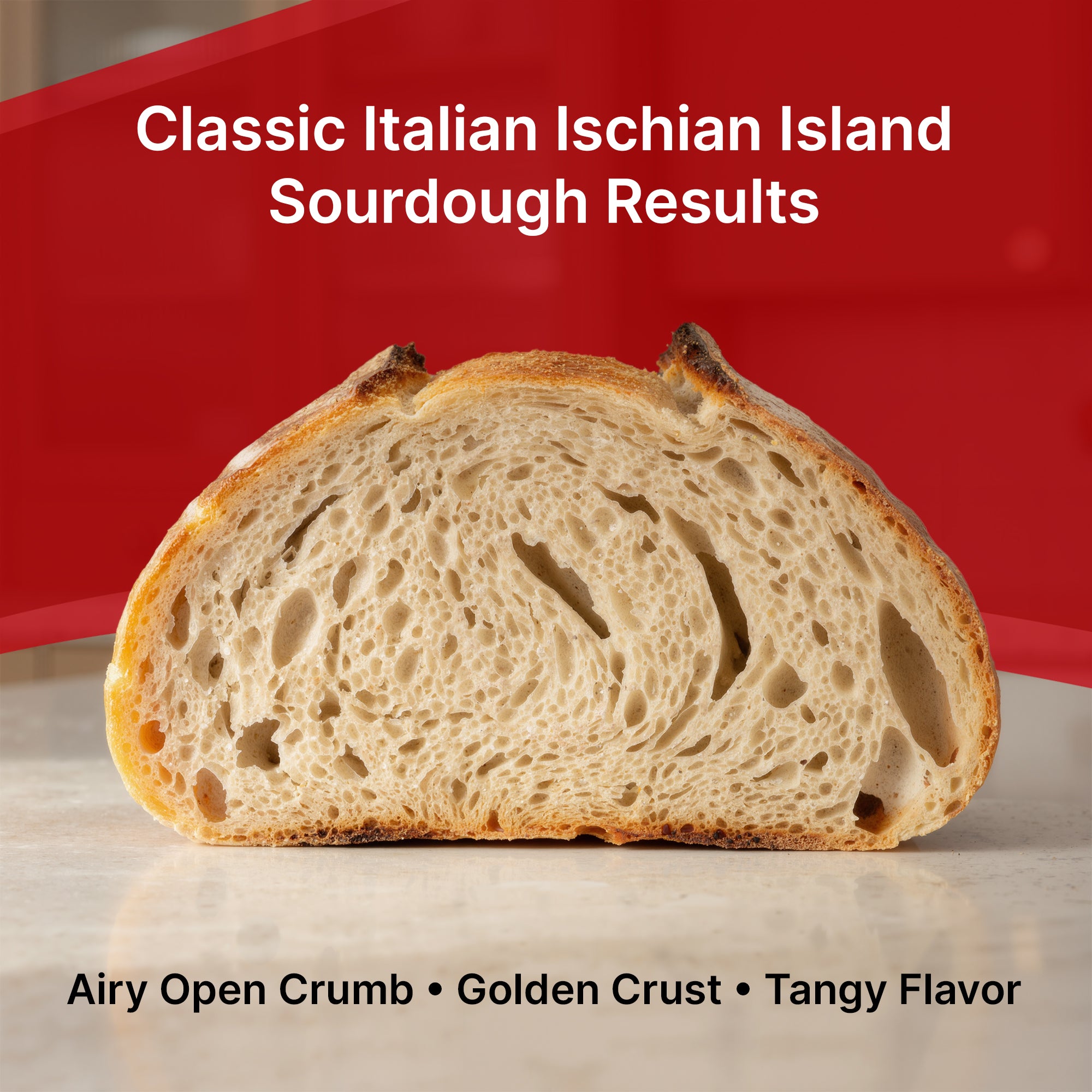 Premium Dehydrated Sourdough Starter Culture - Italian Ischian Island Style  Style - 10 Grams
