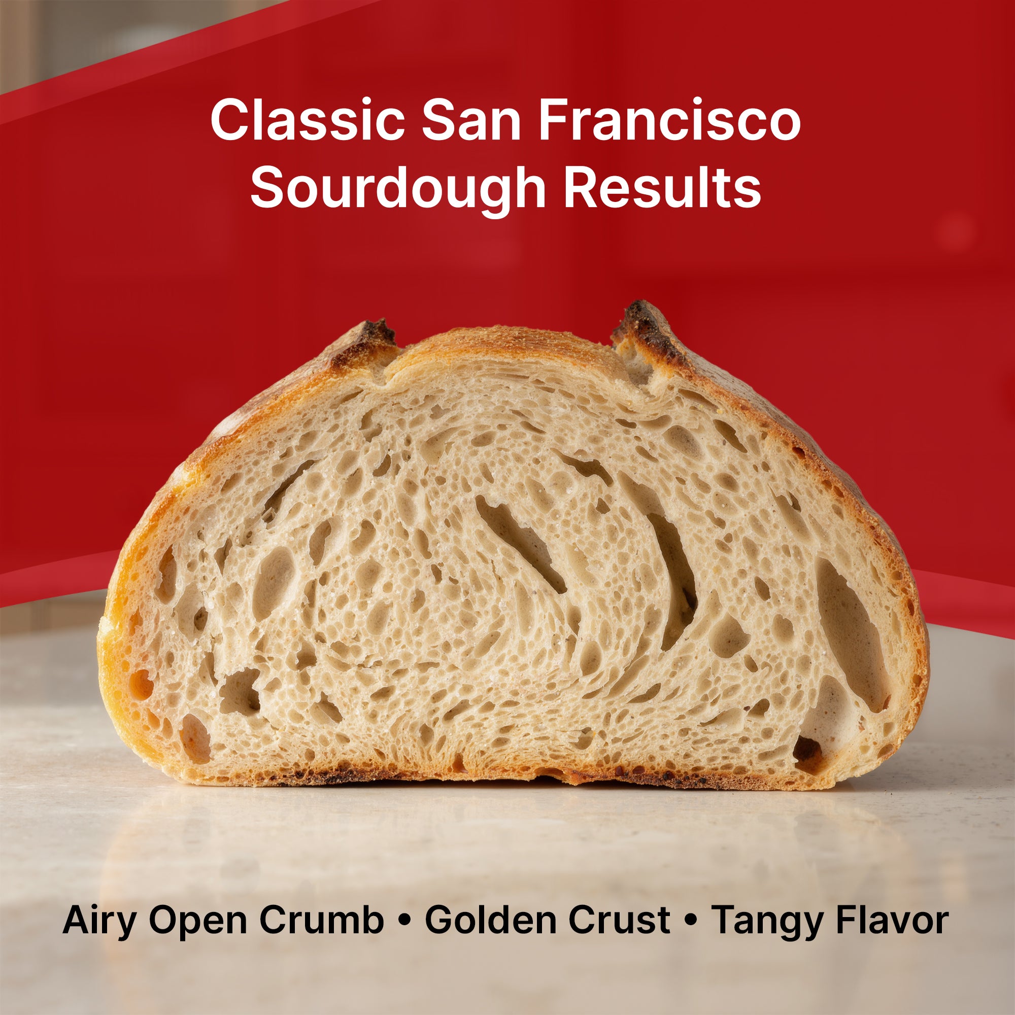 Premium Dehydrated Sourdough Starter Culture - San Francisco - 10 Grams